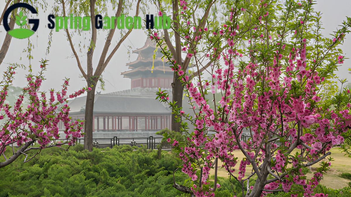 Spring Garden Chinese Carrigtwohill