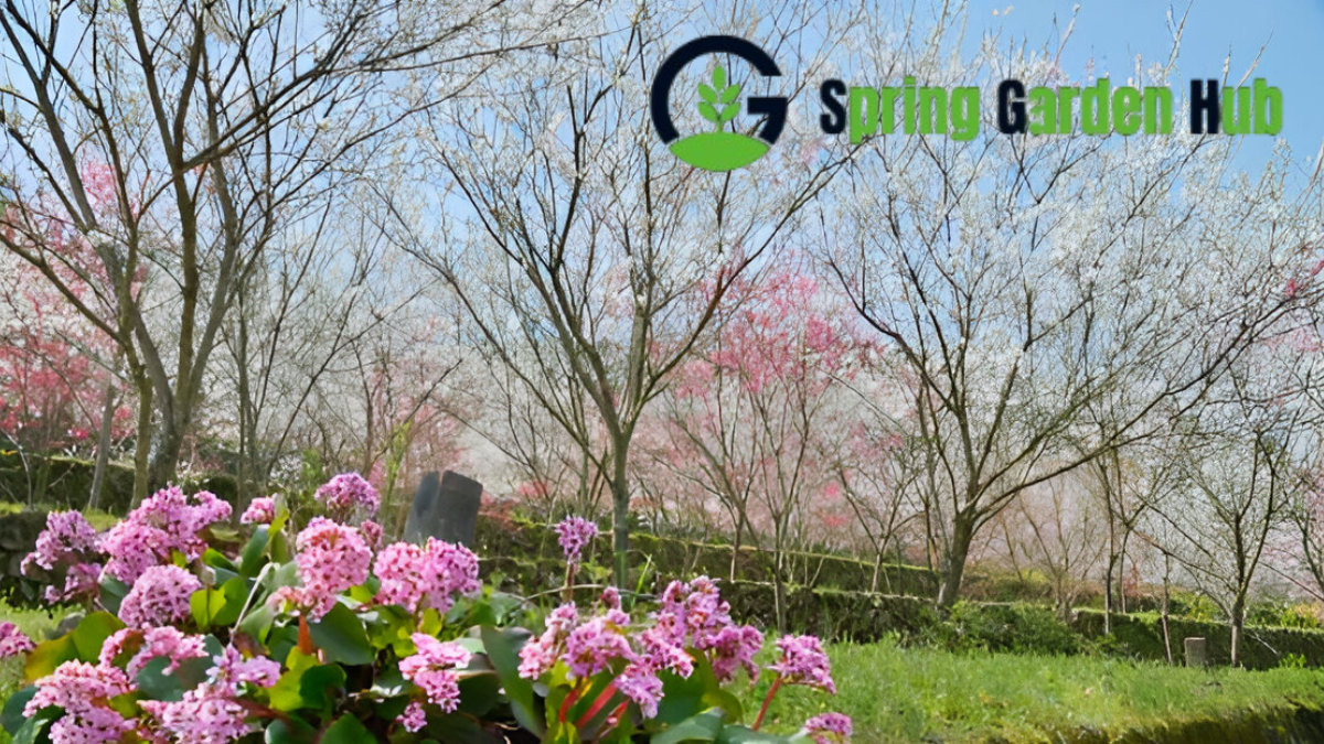 spring garden chinese caldwell