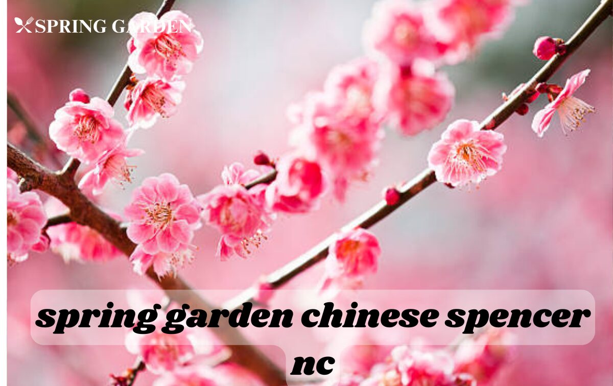spring garden chinese spencer nc