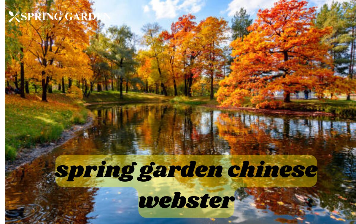 spring garden chinese webster
