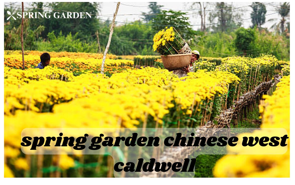 spring garden chinese west caldwell
