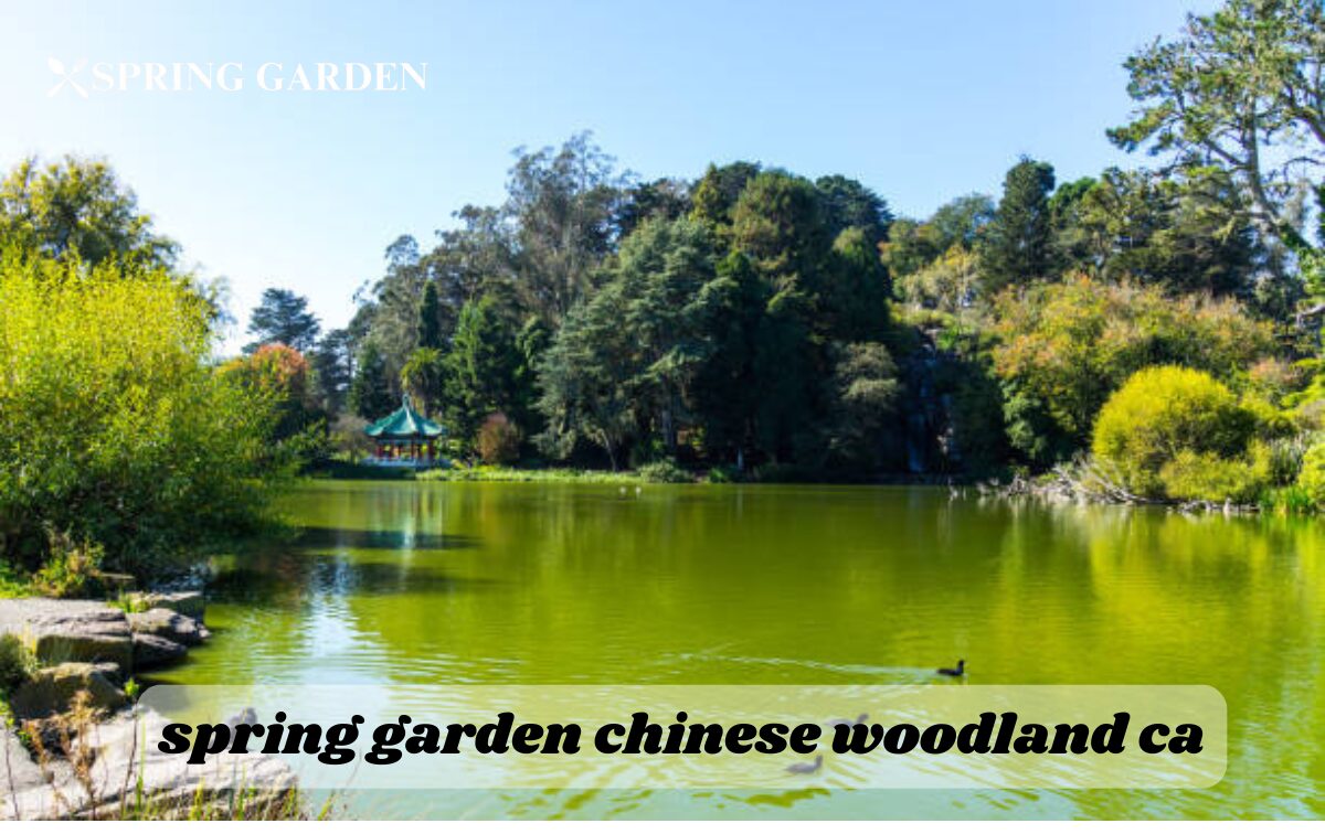 spring garden chinese woodland ca