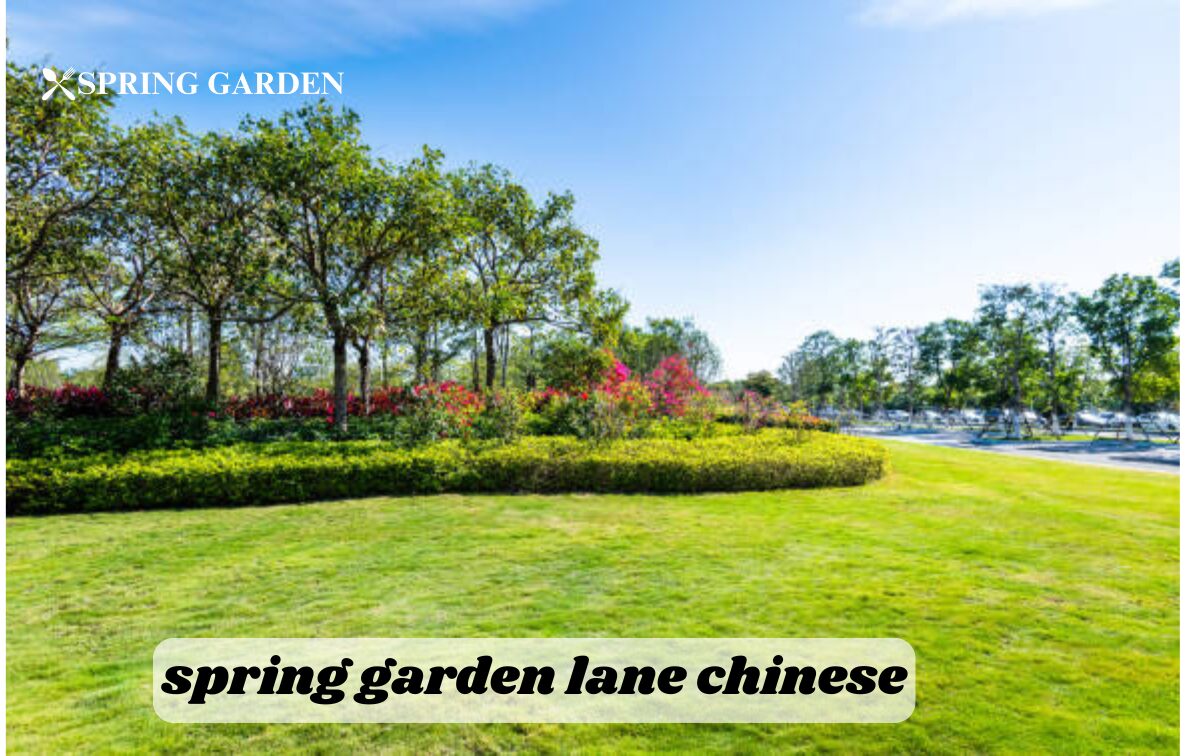 spring garden lane chinese