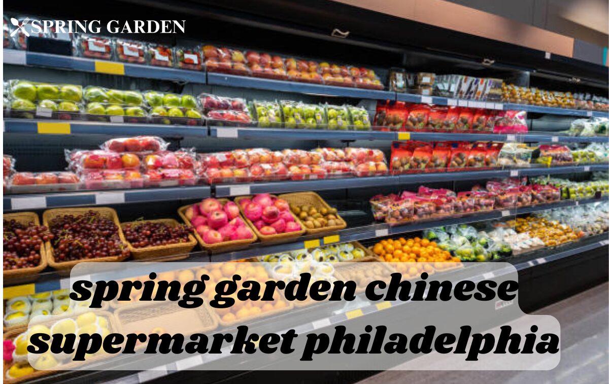 spring garden chinese supermarket philadelphia