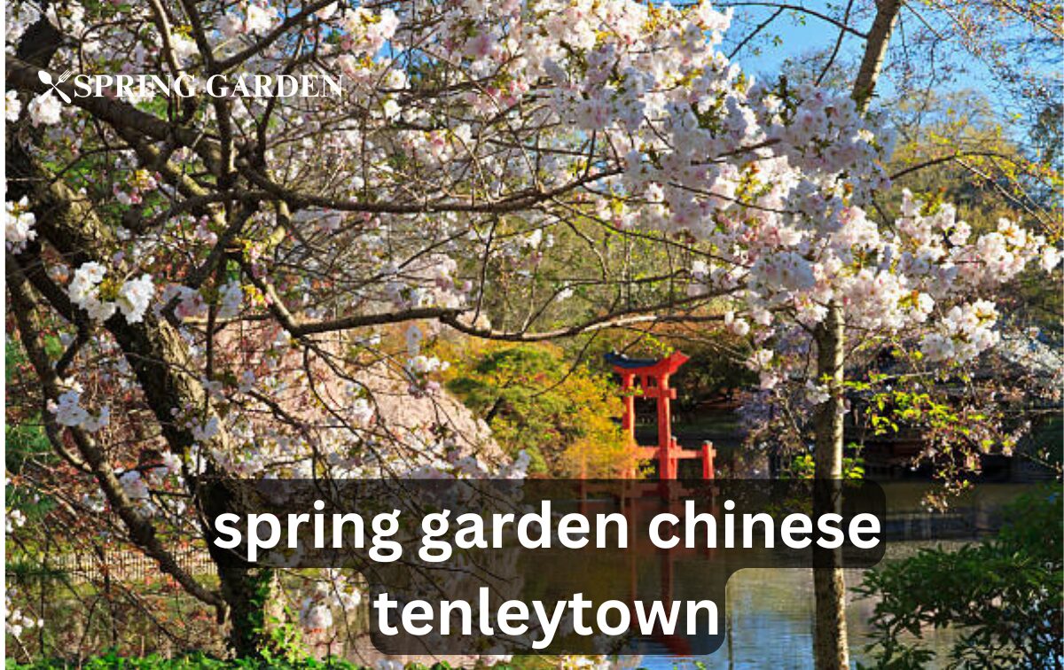 spring garden chinese tenleytown