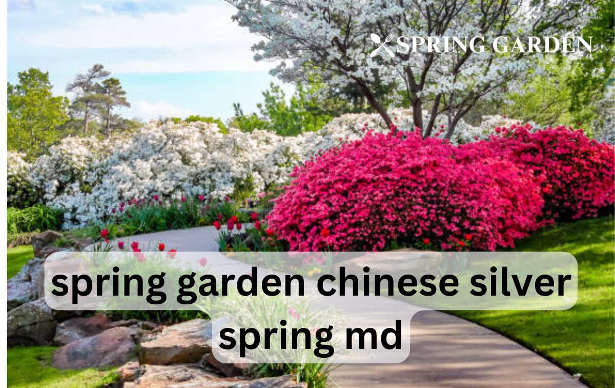 spring garden chinese silver spring md