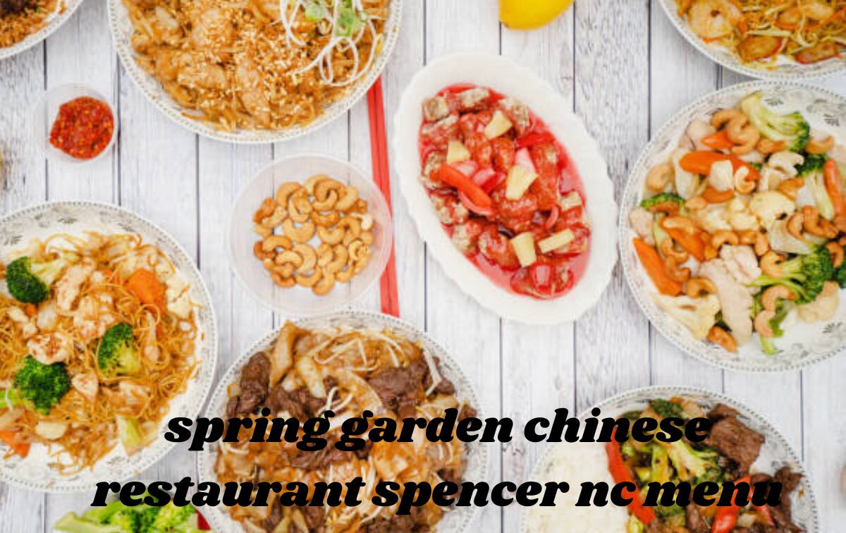spring garden chinese restaurant spencer nc menu