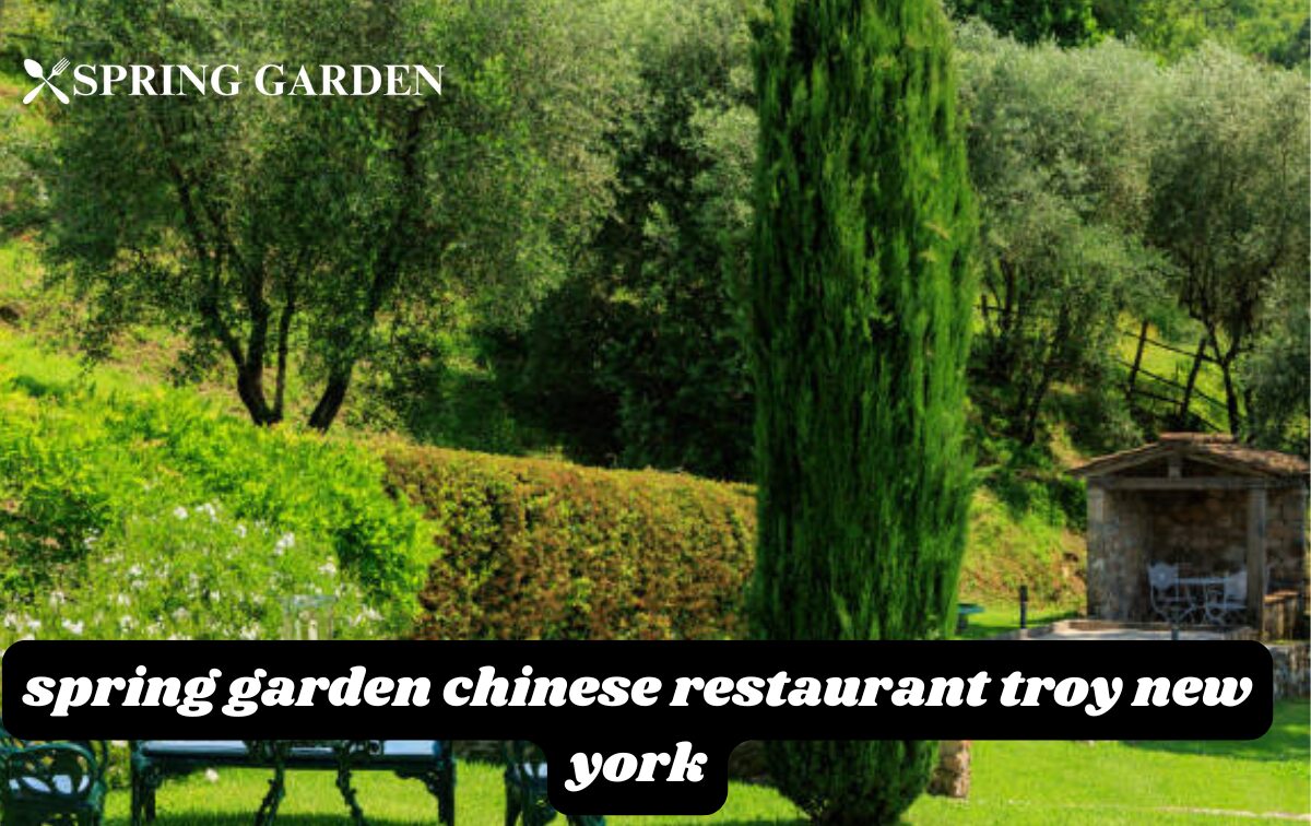 spring garden chinese restaurant troy new york
