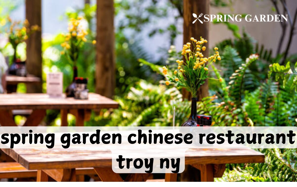 spring garden chinese restaurant troy ny