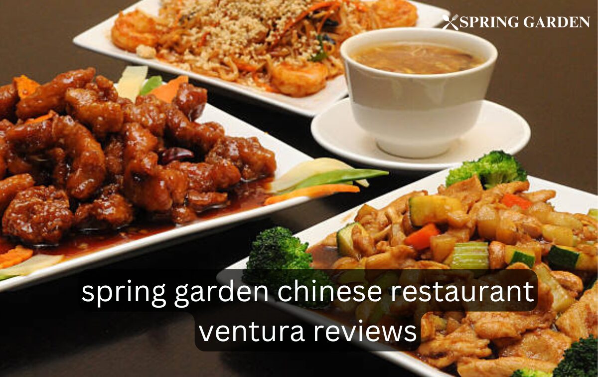spring garden chinese restaurant ventura reviews