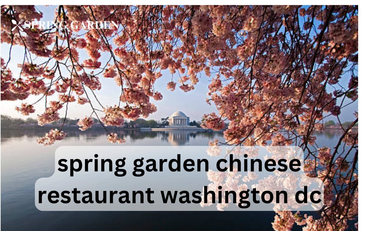 spring garden chinese restaurant washington dc