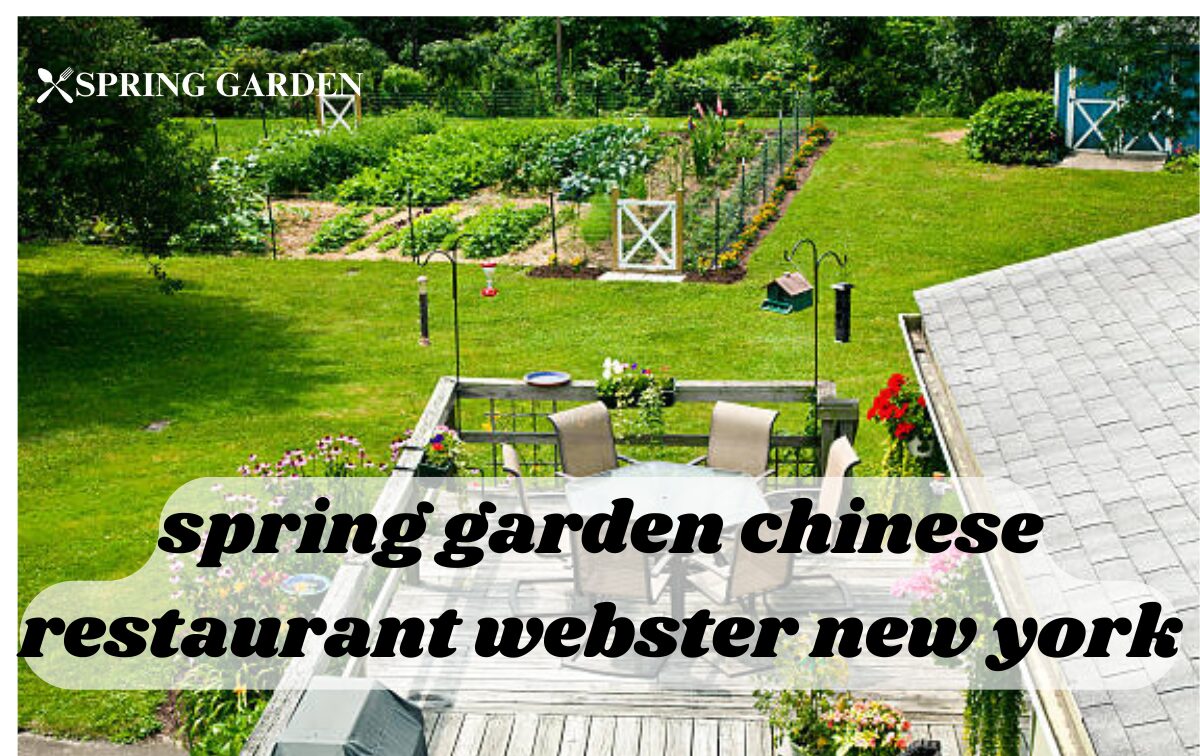 spring garden chinese restaurant webster new york
