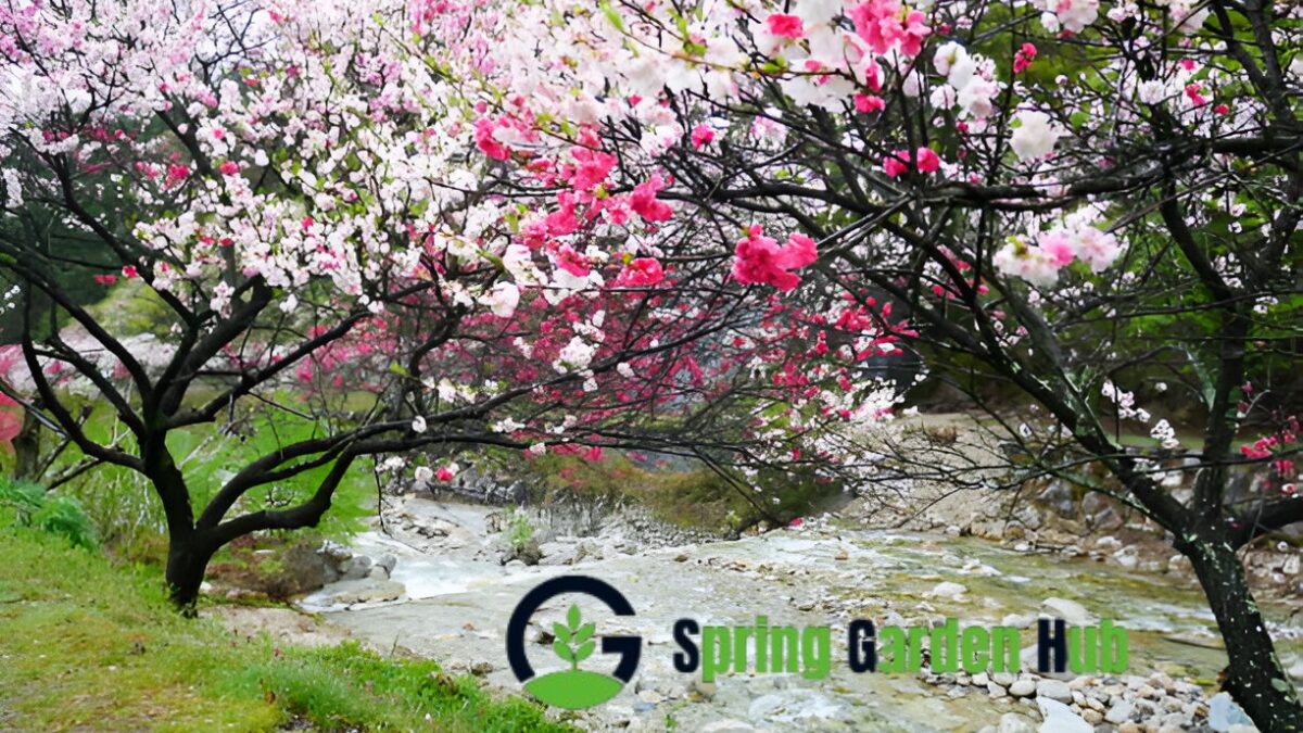 Spring in China Month
