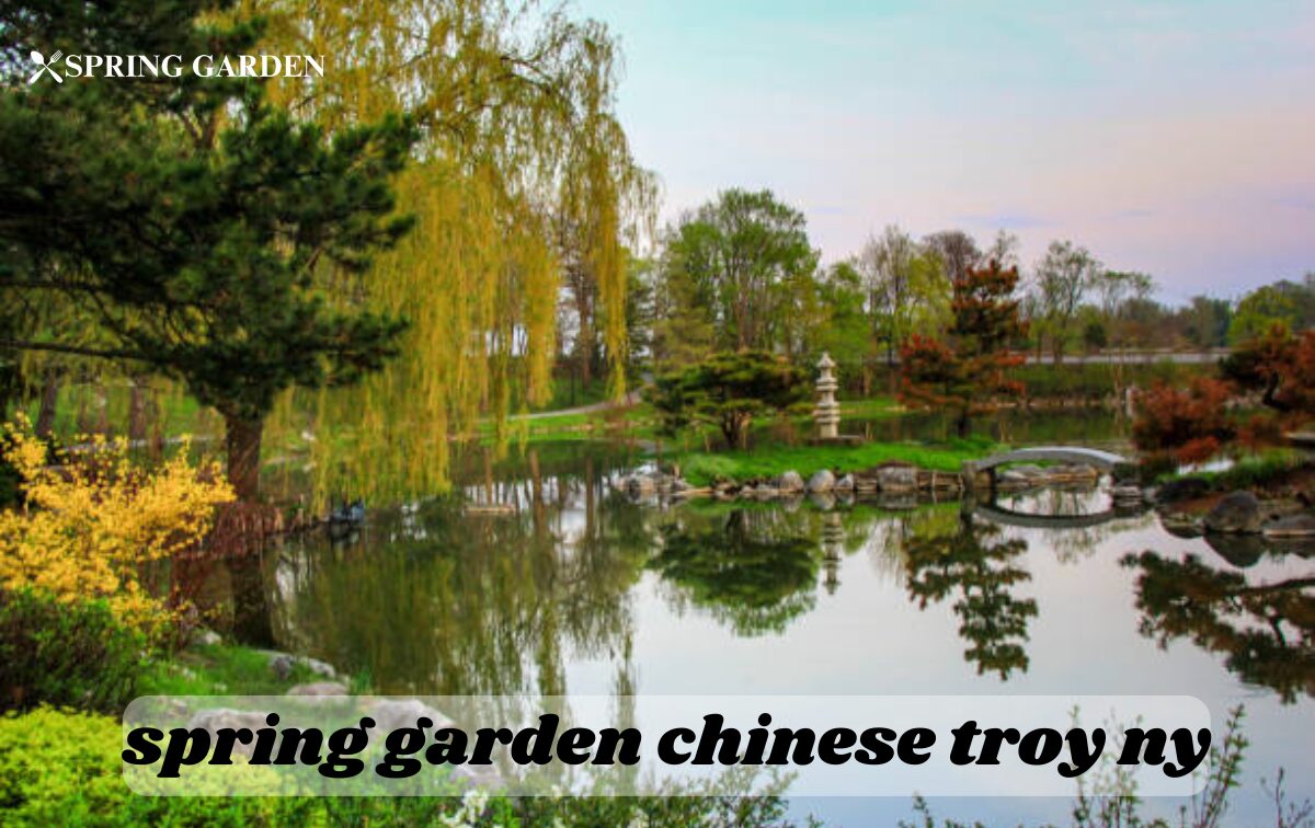 spring garden chinese trony ny