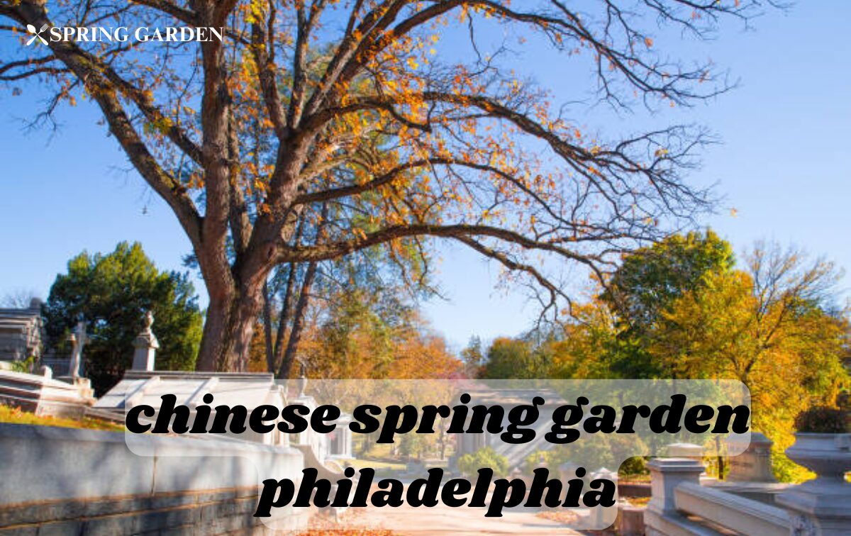 chinese-spring-garden-philadelphia