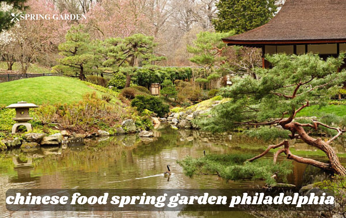 chinese food spring garden philadelphia