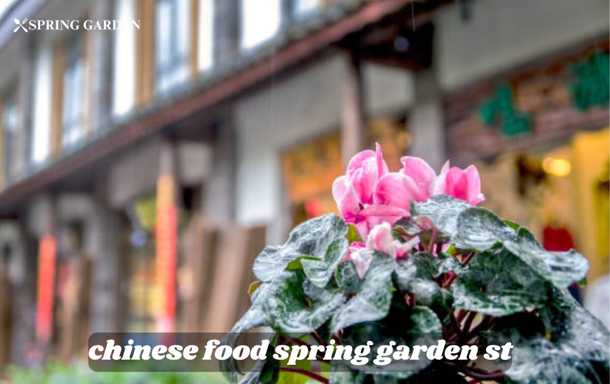 chinese food spring garden st