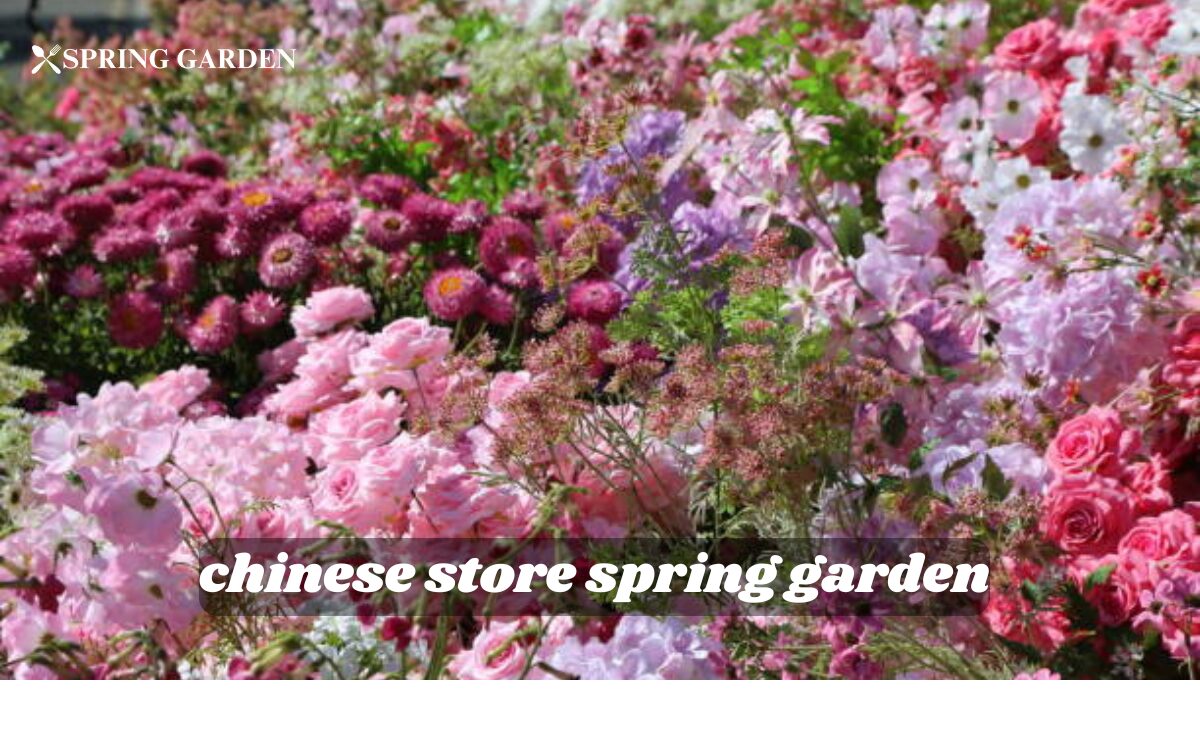 chinese store spring garden