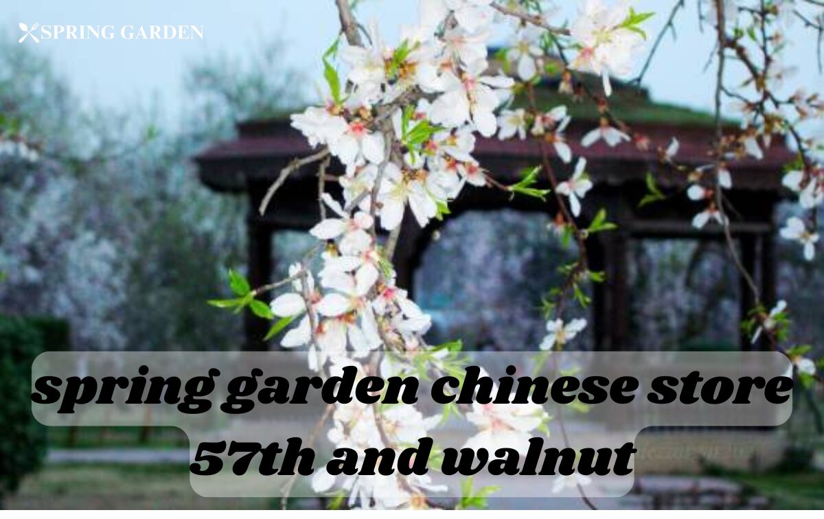 spring garden chinese store 57th and walnut