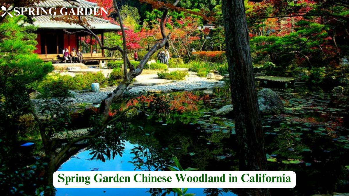 spring garden chinese woodland california