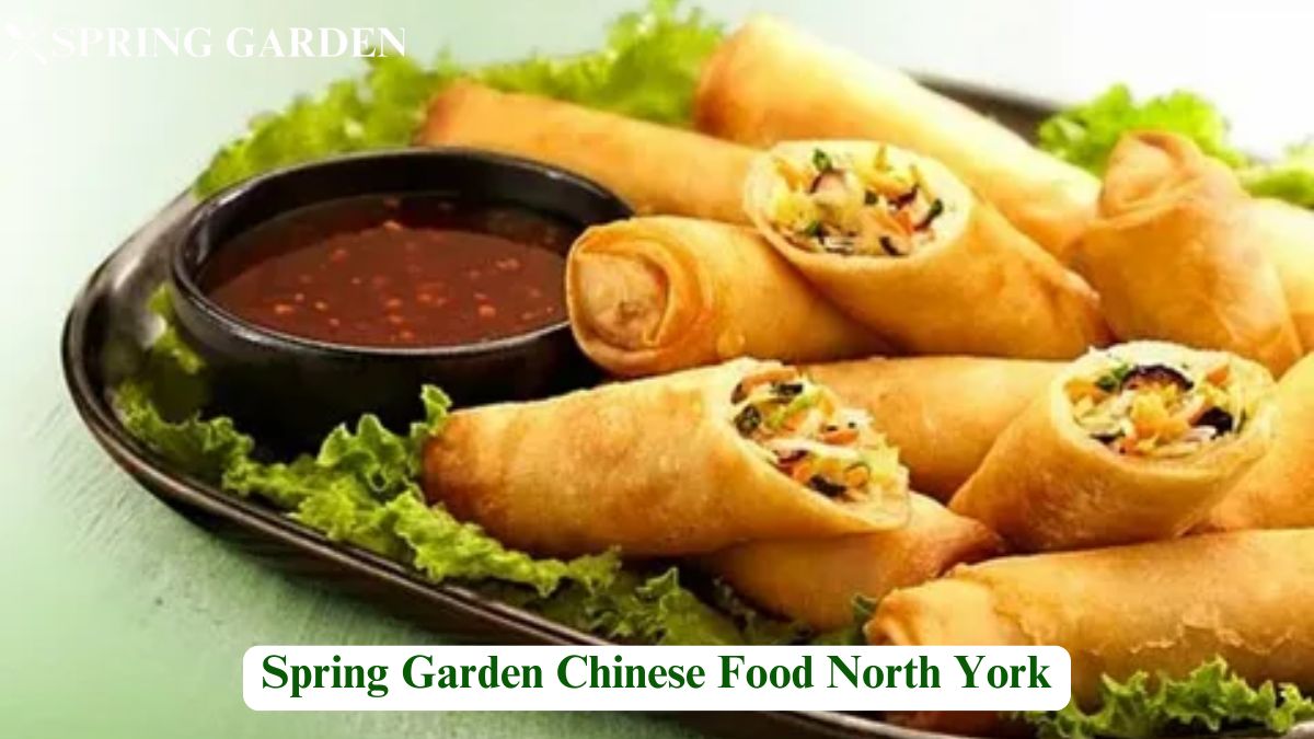 Spring Garden Chinese Food North York: A Complete Guide