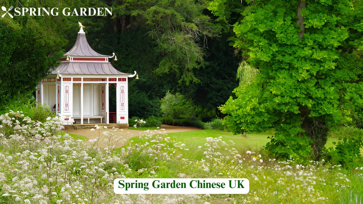 The Ultimate Guide to Spring Garden Chinese UK