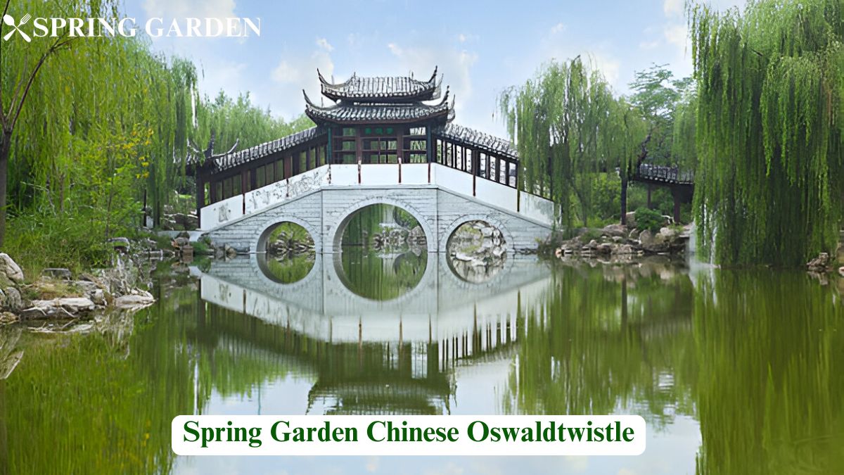 Spring Garden Chinese Oswaldtwistle