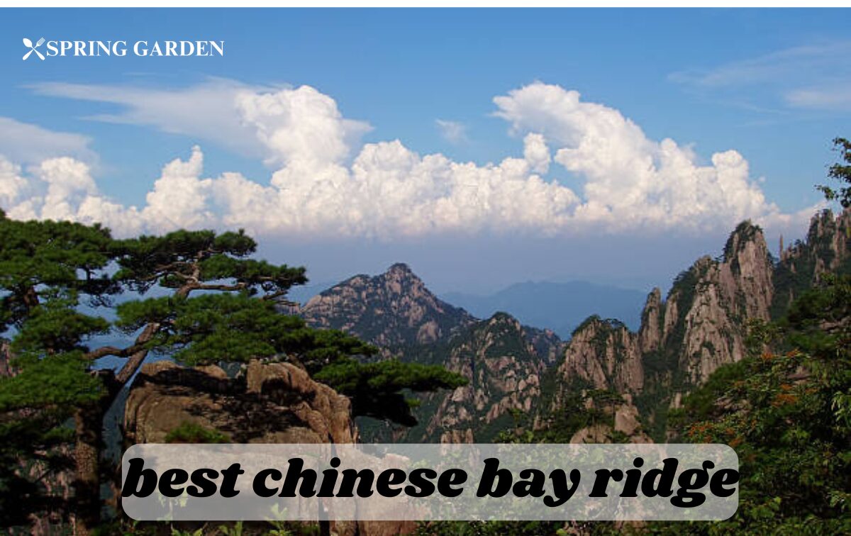 best chinese bay ridge