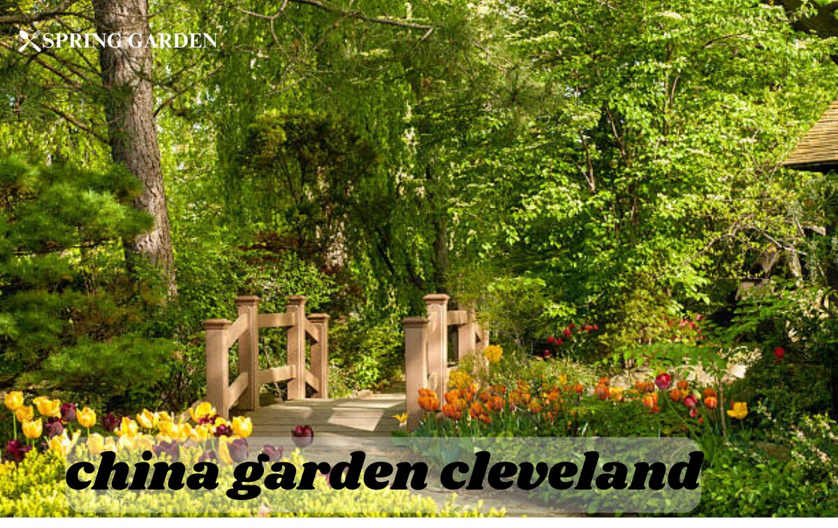 china garden cleveland