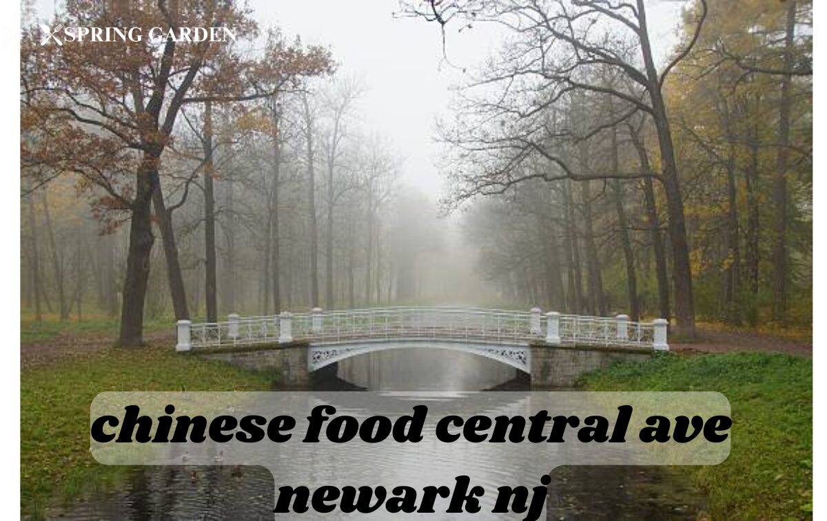 chinese food central ave newark nj