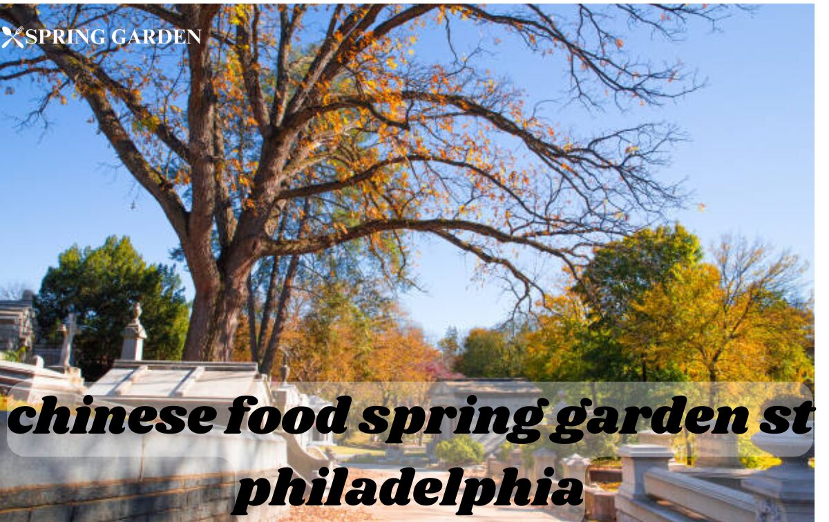 chinese food spring garden st philadelphia