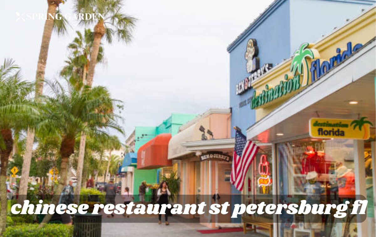 chinese restaurant st petersburg fl