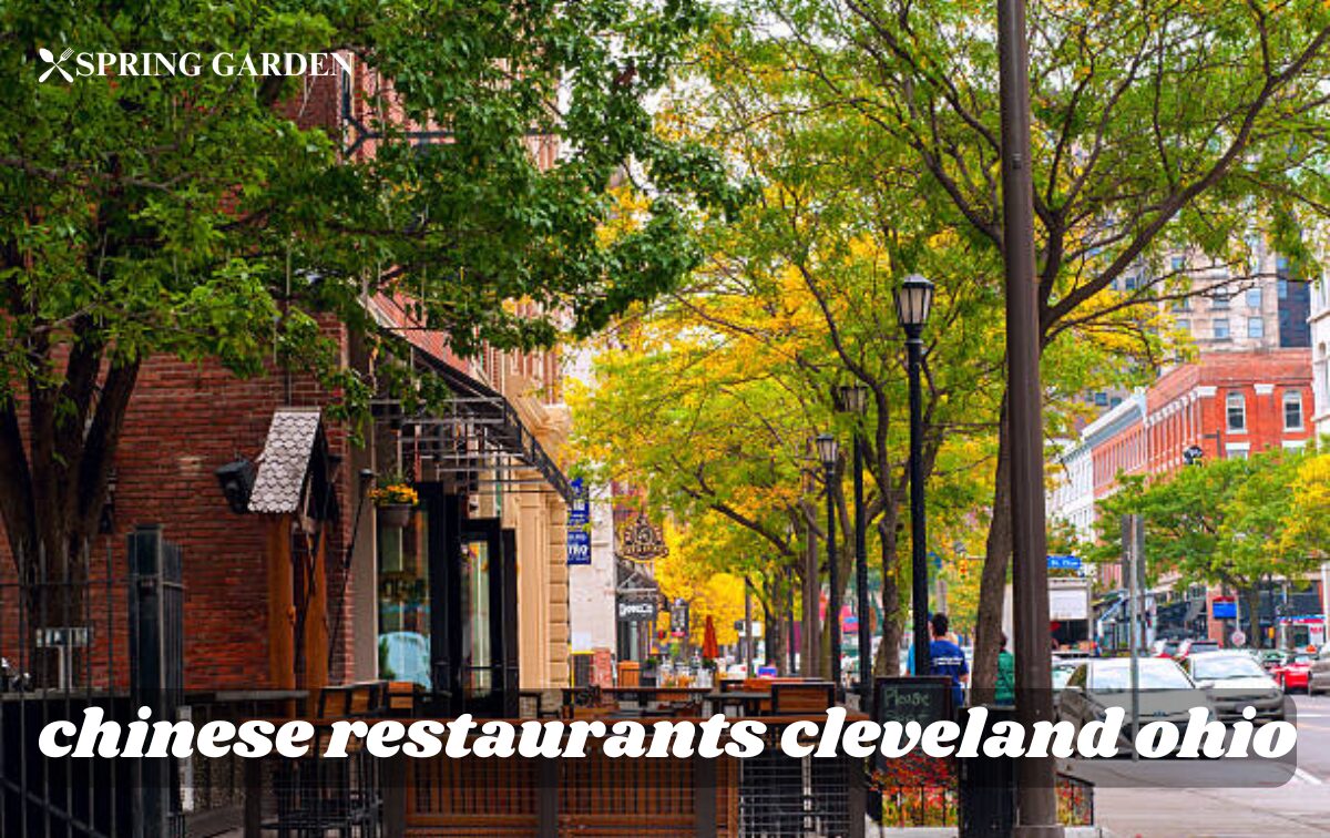 chinese restaurants cleveland ohio
