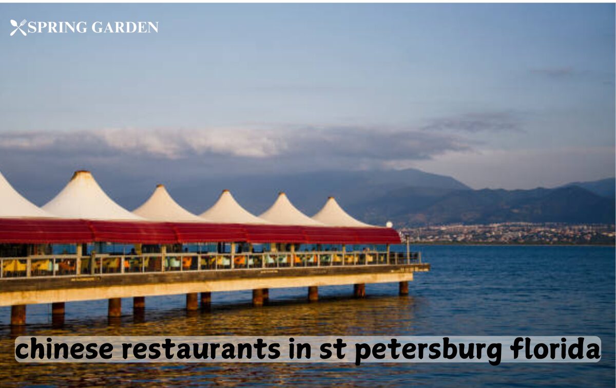 chinese restaurants in st petersburg florida