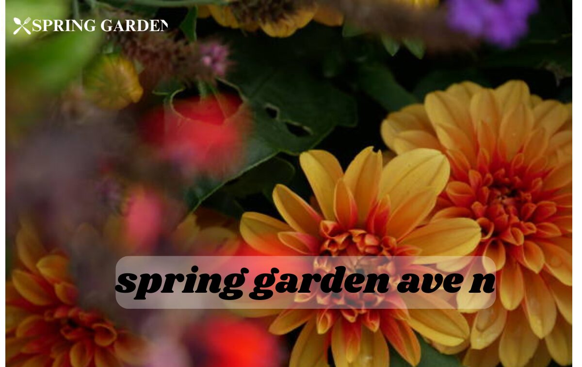 spring garden ave n