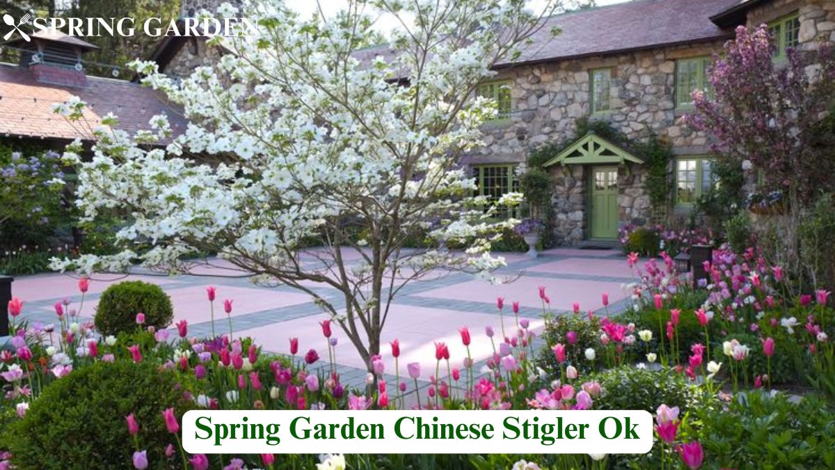 spring garden chinese stigler ok