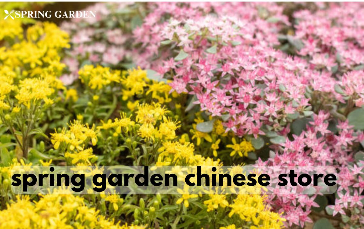 spring garden chinese store