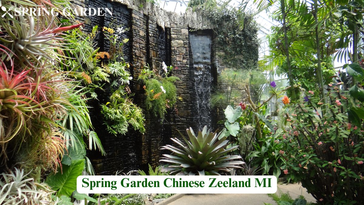 spring garden chinese zeeland mi