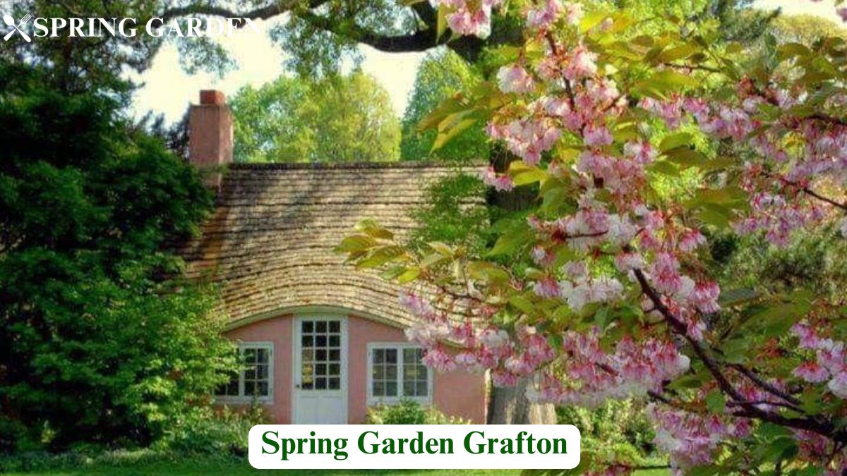 spring garden grafton