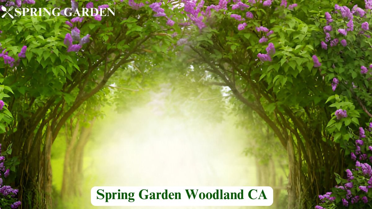 spring garden woodland ca
