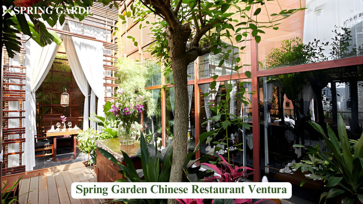 Spring Garden Chinese Restaurant Ventura