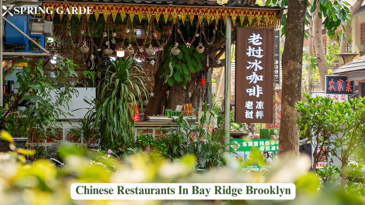 chinese restaurants in bay ridge brooklyn