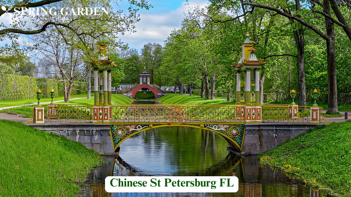 Chinese St Petersburg FL