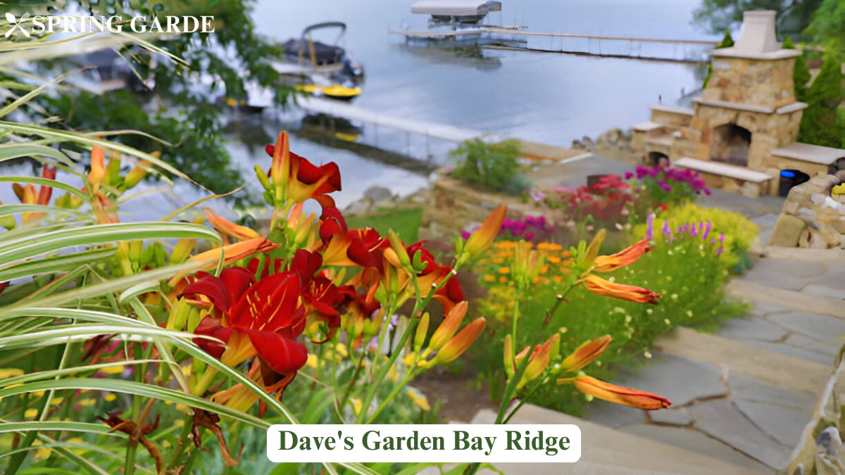 dave's garden bay ridge