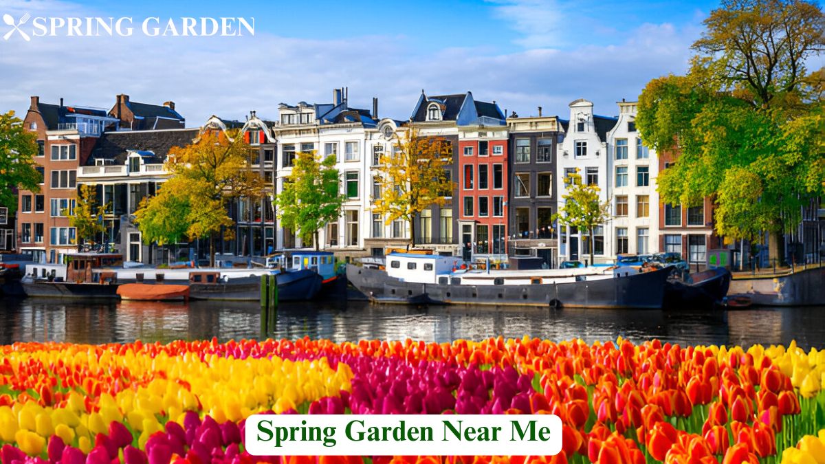 spring garden near me