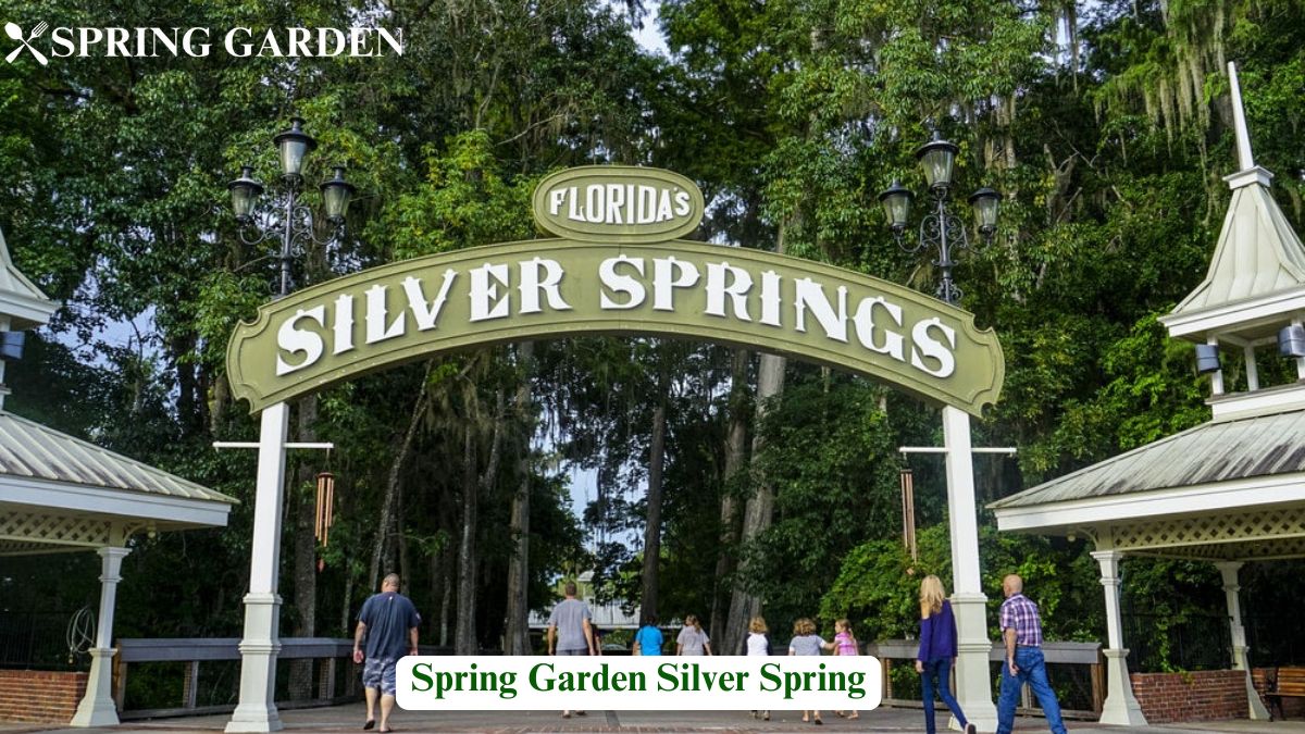 spring garden silver spring