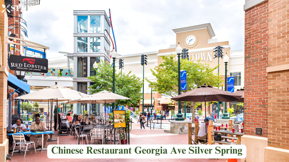 chinese restaurant georgia ave silver spring