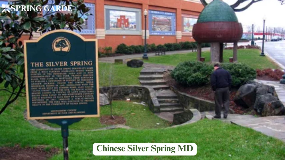 chinese silver spring md