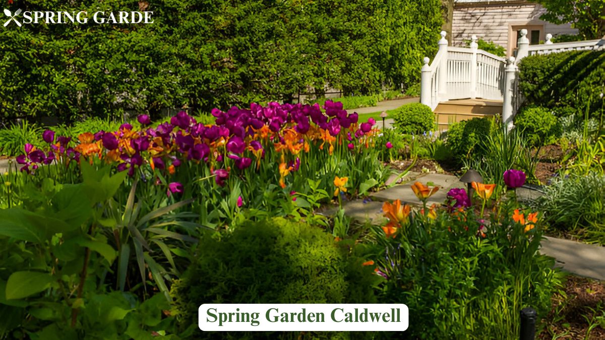 Spring Garden Caldwell